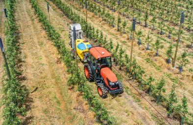 M5001 N_z lotu ptaka