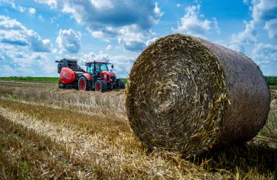 skup_zboża_przez_państwo